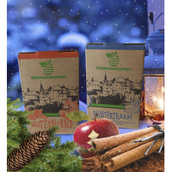 bib_hutzenobndwintertraam